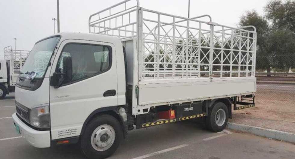 Transport Companies in Mussafah